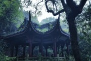 君临天下攻略：介绍古代帝王治国之路