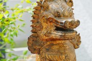 喷火龙：火焰之心的守护者——详细介绍其配招步骤