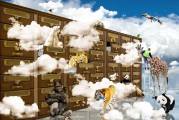 古韵熊猫：穿越千年的神秘使者