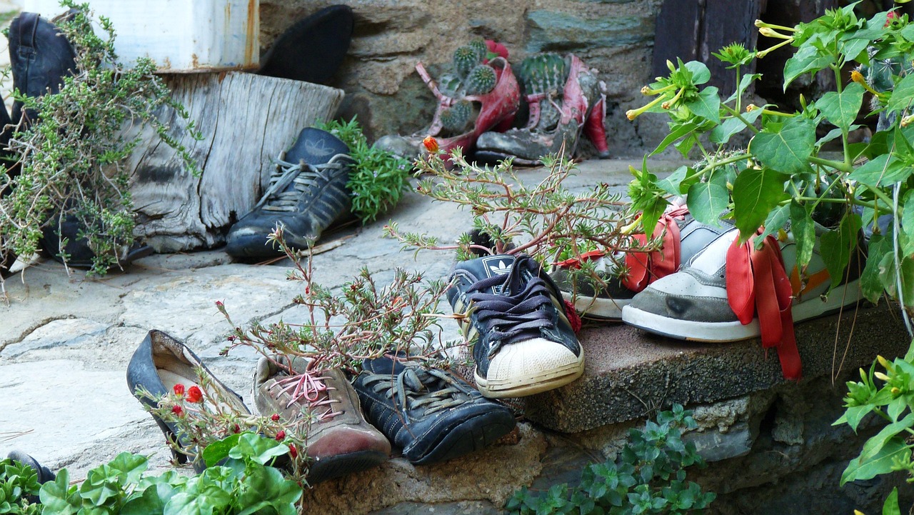 植物大战僵尸：一款寓教于乐的经典游戏